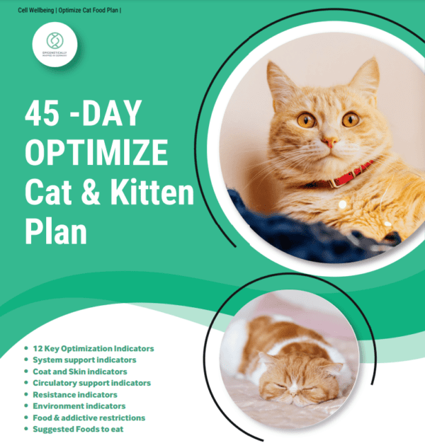 Image-of-45-Day-Optimize-Cat-and-Kitten-Plan-by-Cell-Wellbeing