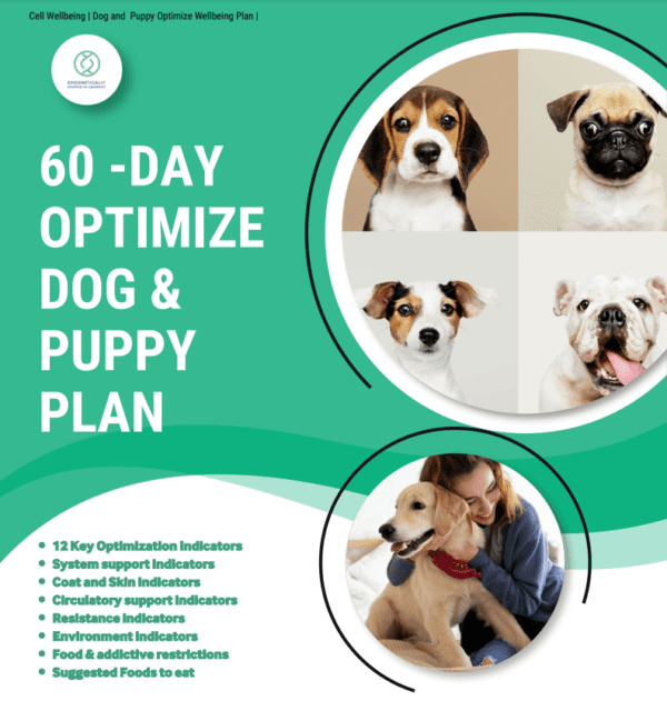 Image-of-60-Day-Optimize-Dog-and-Puppy-Plan-by-Cell-Wellbeing
